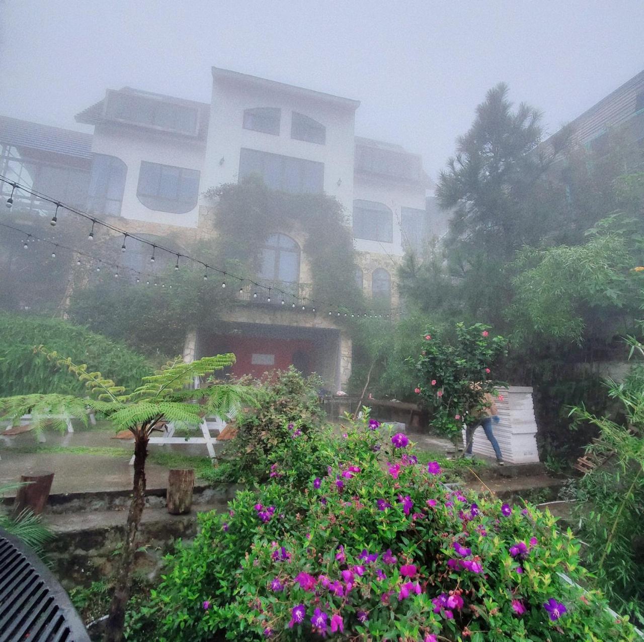 Le Vent Tam Dao Homestay 外观 照片